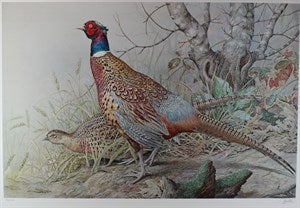 Image description is not available for DU1986.1